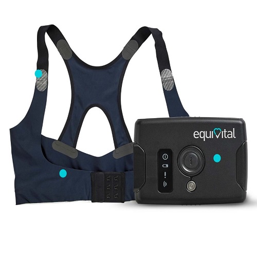 Equivital